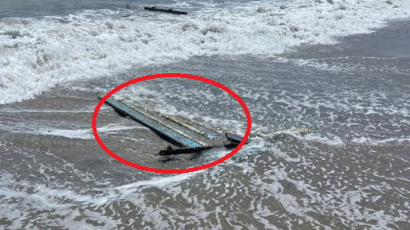 Туристите на Северния плаж в Бургас в шок от това, което изхвърли морето ВИДЕО