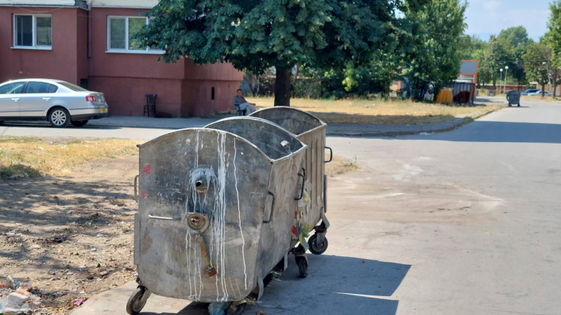 Извънредна акция в "Столипиново" в Пловдив, събраха 19 тона... СНИМКИ