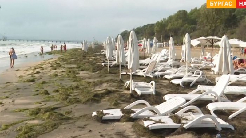 Гнусна гледка по БГ плажовете: Ивицата е изядена, а ужасът продължава! Апокалиптични СНИМКИ и ВИДЕА