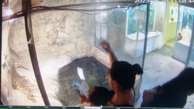 Спипаха млада майка в отвратителна свинщина в музей в Пловдив, мрежата се погнуси СНИМКИ 