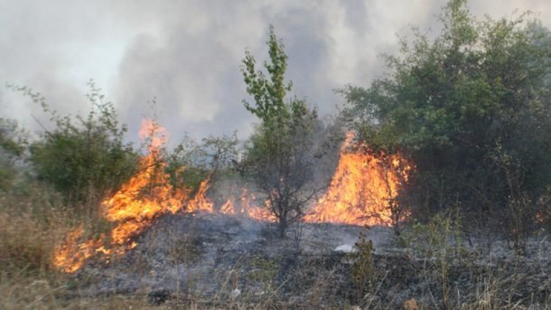 Пожарът в Свиленградско се разрасна, бедственото положение остава в сила
