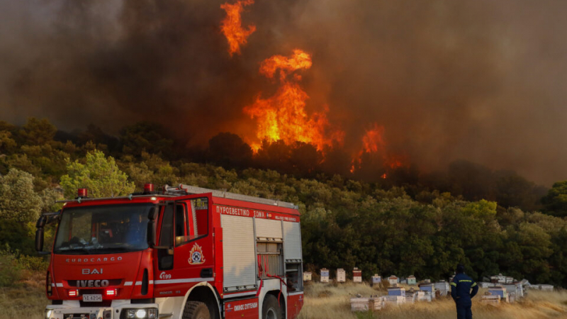 Заради пожарите: любима гръцка стока поскъпна рязко ВИДЕО 