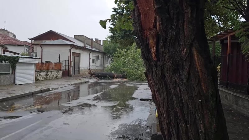 Гняв божи в Хасково: Библейска стихия застигна града, гръм позари бизнес сграда ВИДЕО