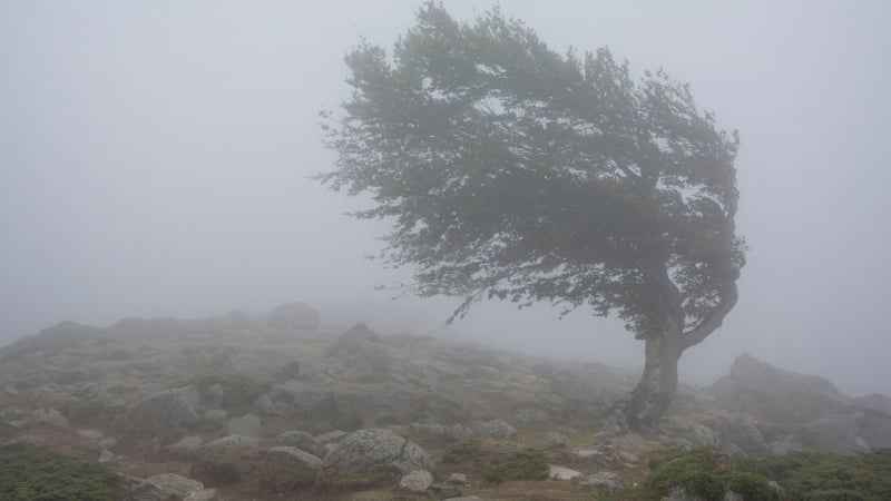 Мощна стихия връхлетя Сливенско, вятърът помита всичко по пътя си СНИМКА 