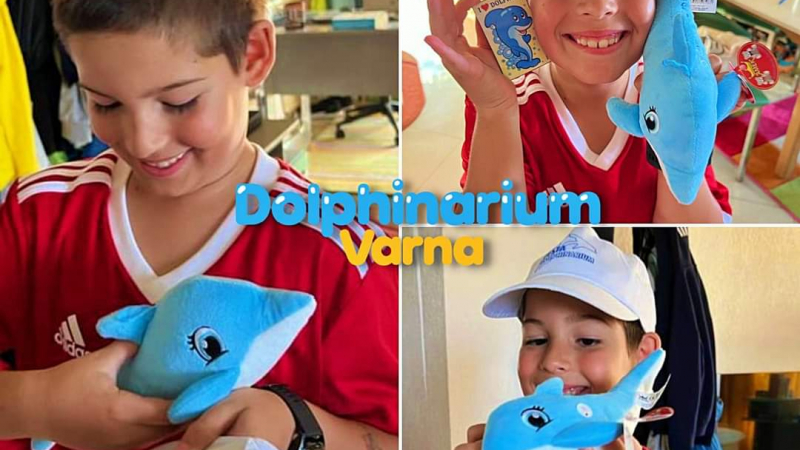Румънче загуби играчка делфинче и Делфинариум Варна му изпрати нова
