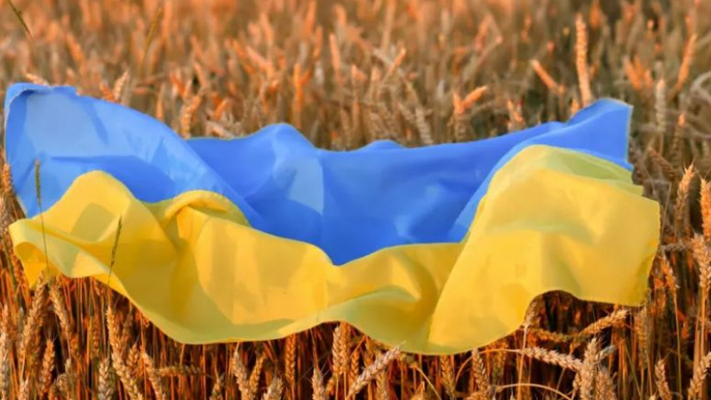 Икономистът Сиркаров с мрачна прогноза, до какво ще доведе битката покрай украинското зърно 
