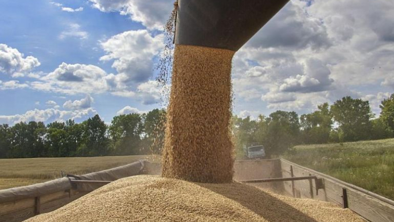 Румъния се разбра с Украйна за вноса на зърното