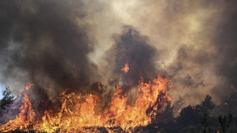 Огнен кошмар в Сицилия: Буйни пламъци обгърнаха луксозен хотел, има жертви ВИДЕО 