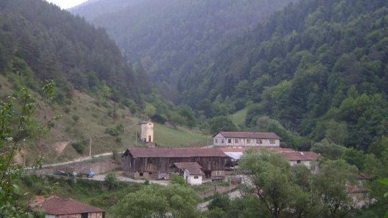 Село в сърцето на Родопите се сдоби с необикновен жител ВИДЕО 