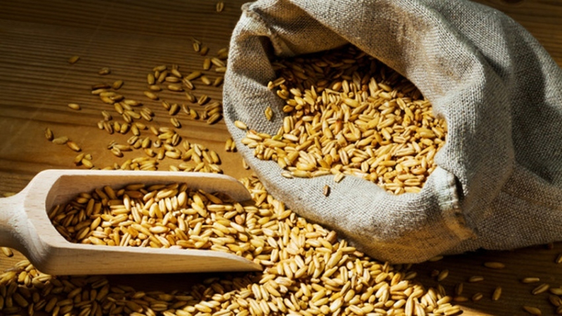 Разкриха всичко за най-голямата зърнена афера в България