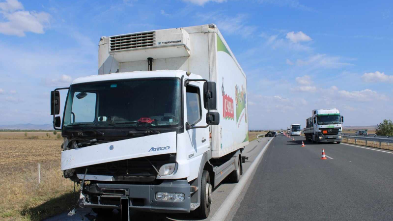 Филм на ужасите! Камион разсипа трупове на пътя Тополовград-Харманли