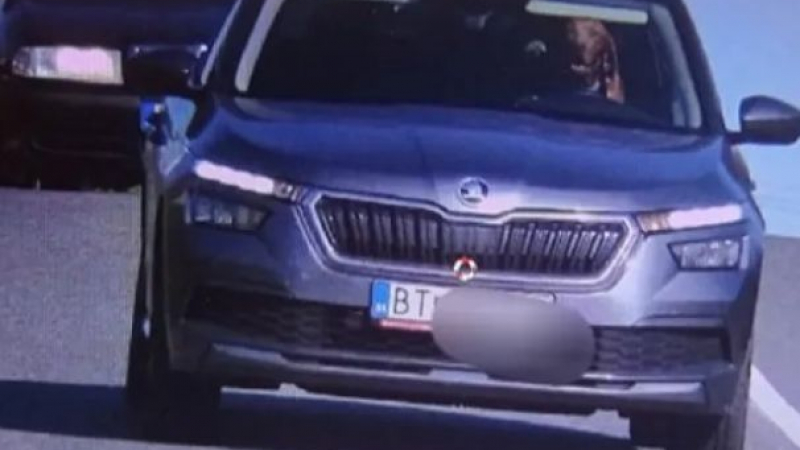 Мъж сложи кучето си на шофьорското място в колата си и жестоко си изпати СНИМКА
