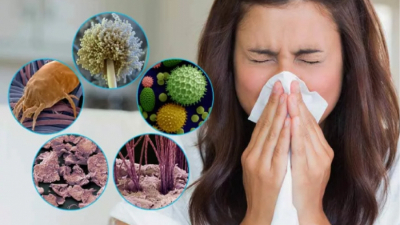 Шведски учени развенчаха един от най-известните митове за отключването на алергии