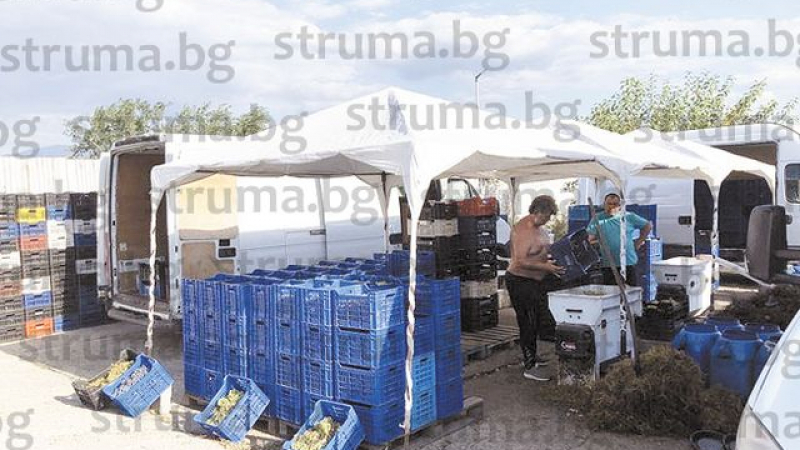 Голяма мъка по тържищата в Пиринско, в разгара на сезона такова нещо не е ставало 