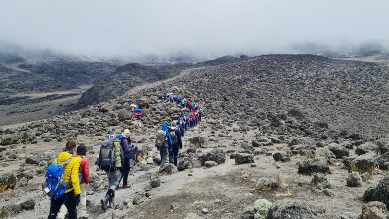 Как българи качиха Килиманджаро и счупиха световен рекорд с HAYDE /Течен органичен германий/
