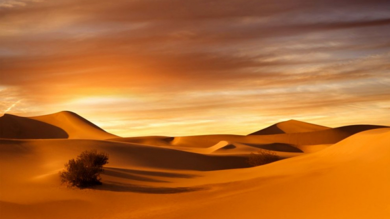 Зверство в пустинята край Абу Даби: Откриха 150 трупа на... ВИДЕО 18+