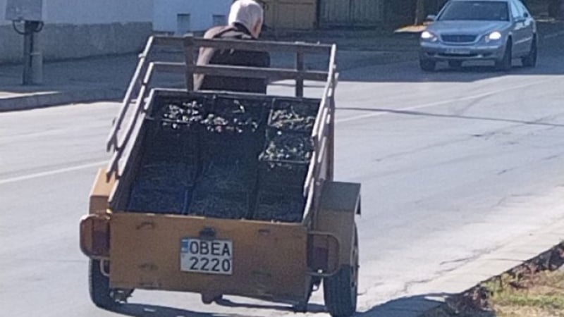 ВИДЕО с беловлас ловчанлия потресе мрежата 