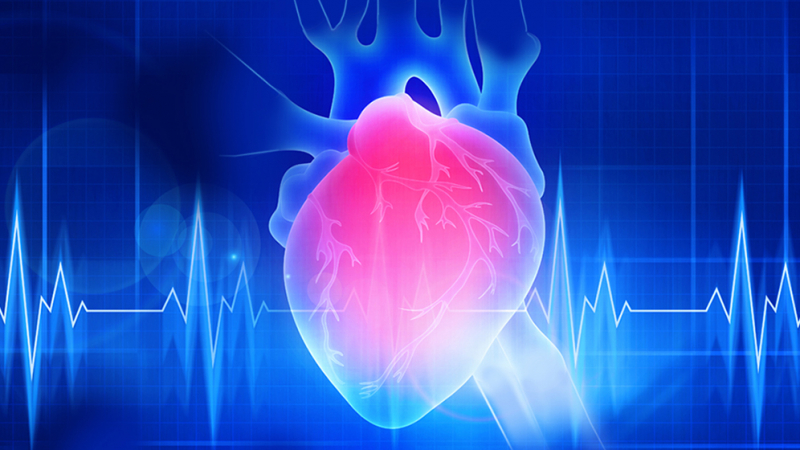 Доктори признават: Висок клас магнезий кара сърцето да работи безотказно