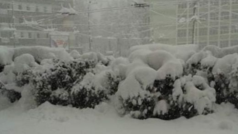 70 см. сняг натрупа в Габрово на 25 октомври СНИМКИ 
