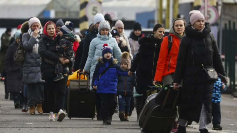 Нидерландия заговори за връщане на украинските бежанци у дома