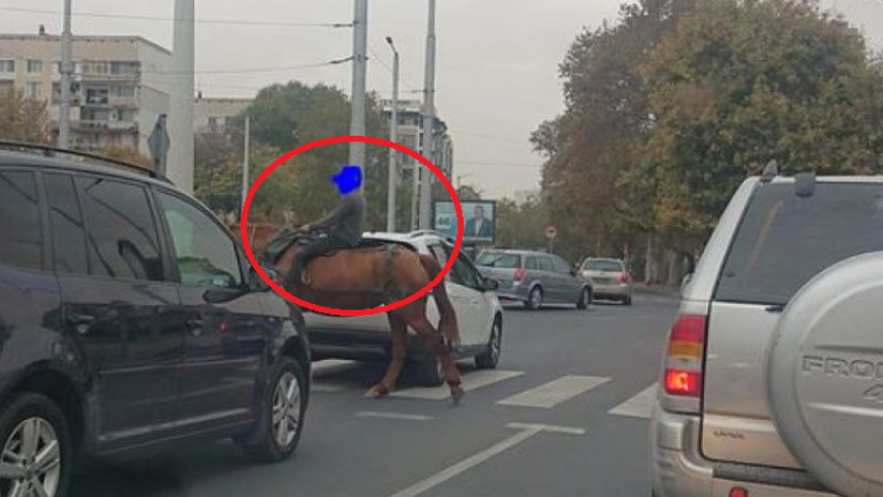 Пловдив заприлича на Дивия запад и тези СНИМКИ с дете и кон го доказват