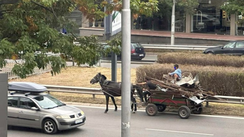 Забранени ли? Каруца смая всички шофьори в София СНИМКИ