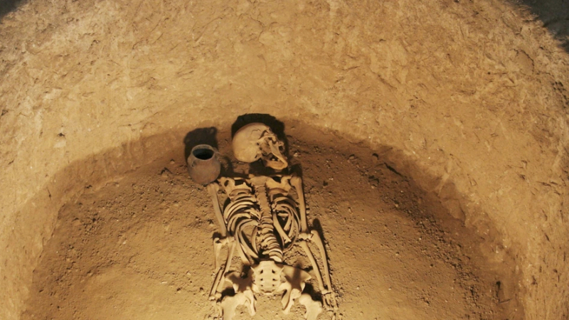 Жена без лице: Откриха скелет в дворец, замесена е голяма историческа фигура