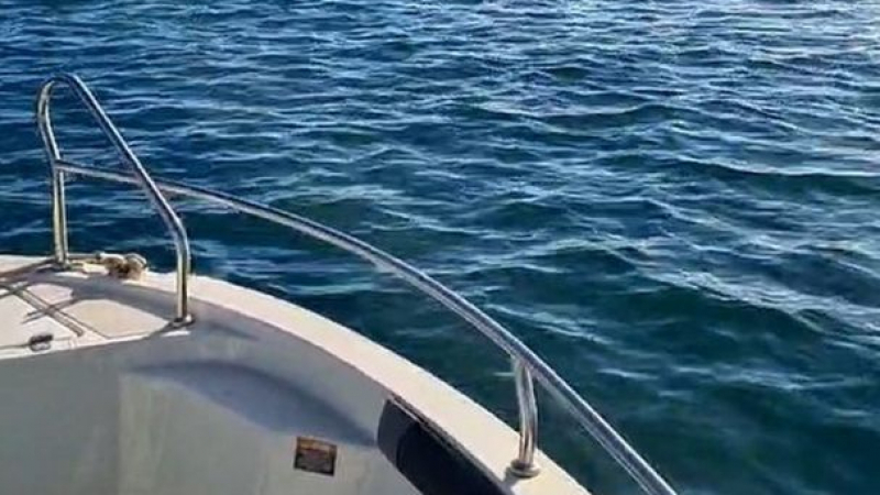 Мъж засне нещо уникално в морето край Тюленово ВИДЕО 