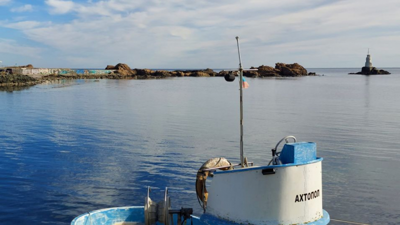 Старите рибари в Ахтопол са в шок, такова нашествие на огромни туруци не помнят
