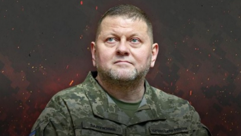 Генерал от въоръжените сили на Украйна поиска уволнението на Залужни