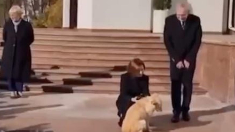 Кучето на молдовския президент загриза президента на Австрия ВИДЕО 