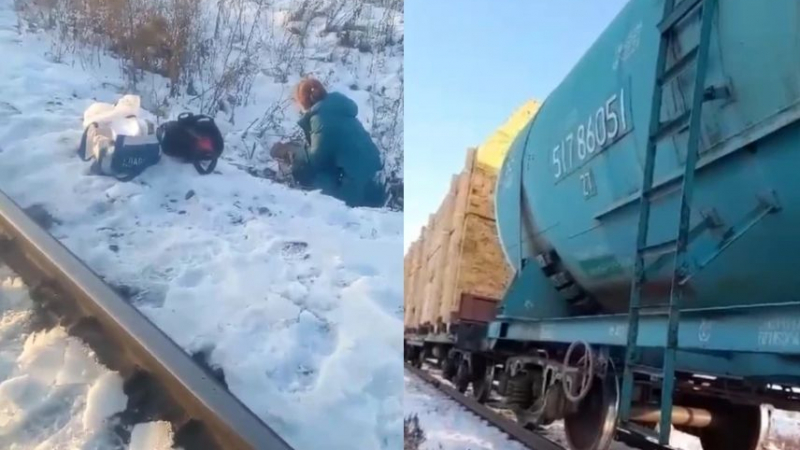 Жена заспа на релсите, товарен влак я прегази - а заради тези три причини тя оцеля ВИДЕО