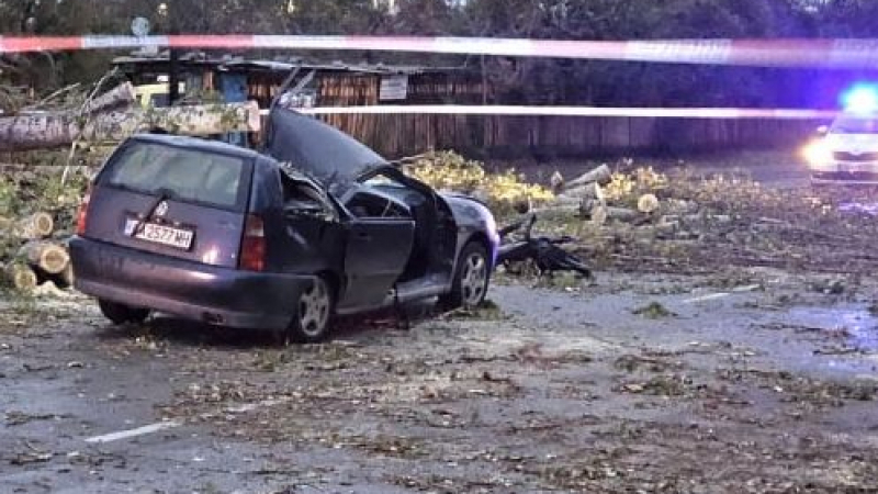 Новини от последните минути за пострадалата при стихията в София