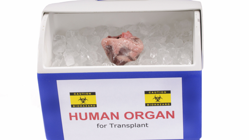 Скандална практика с трансплантации: Мъртъв ли е наистина донорът?
