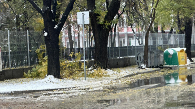 Зловещо: Пловдивчани се вцепениха от ужасяваща гледка в снега в кв. "Кючук Париж" СНИМКИ