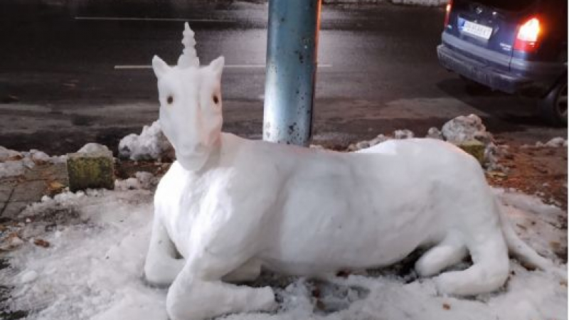 Разплита се мистерията със странното животно, появило се в Пловдив след снегокалипсиса