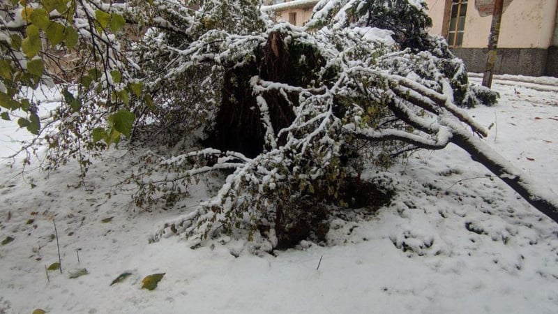 НИМХ обяви къде днес ще вали сняг в България КАРТИ