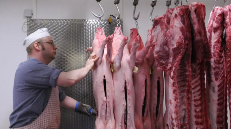 Ужасяващи кадри от свинеферма - какво месо ядем