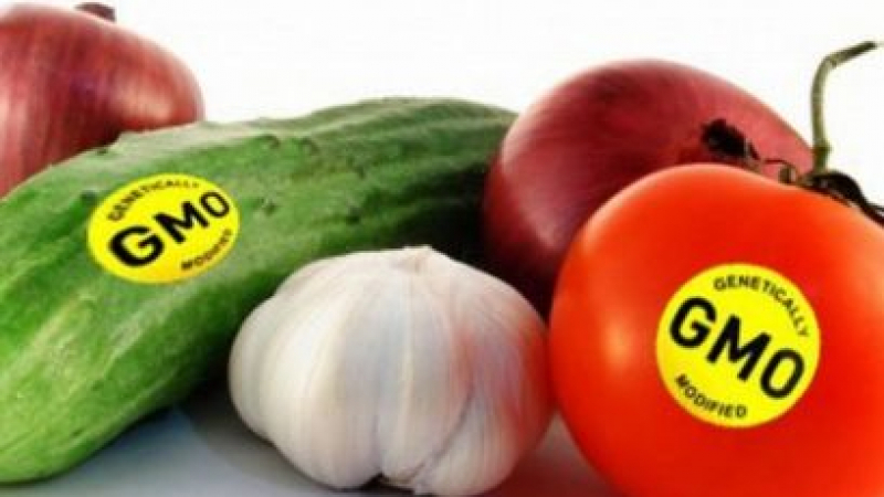 Скандално: Искат да премахнат задължителното обозначаване на ГМО на етикетите на хранителните продукти