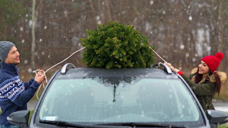 Германците показаха на света как правилно се транспортира елха с кола 
