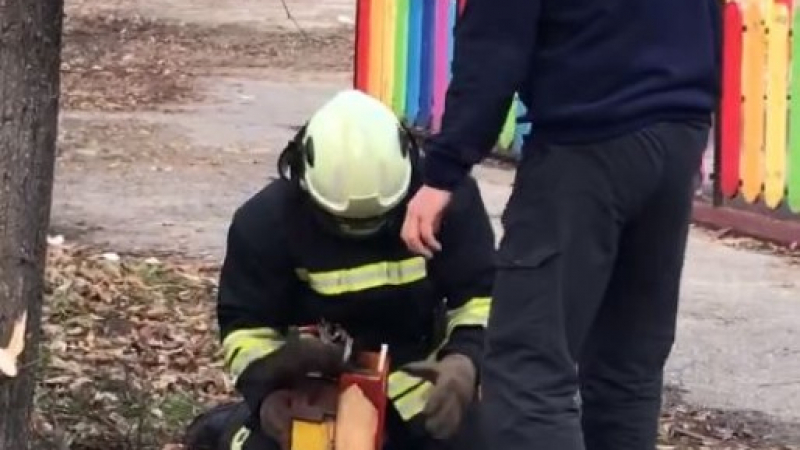 Цяла София говори за тези пожарникари, не е за вярване какво направиха в парка  ВИДЕО