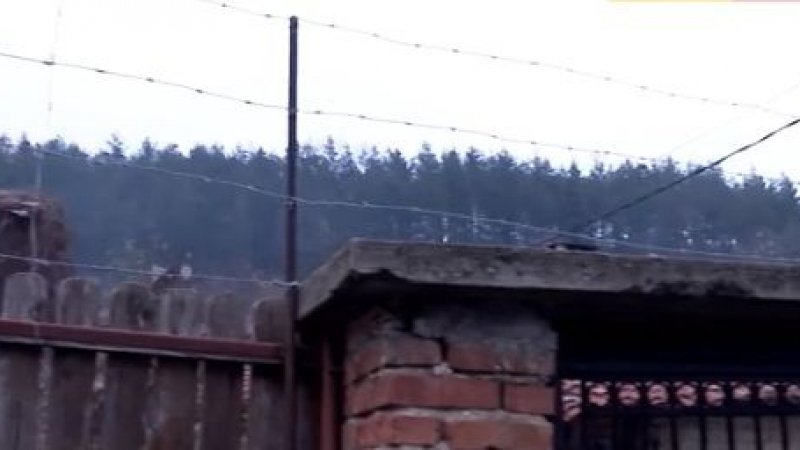Сливенско село се пази с бодлива тел от престъпници, но и това не помага