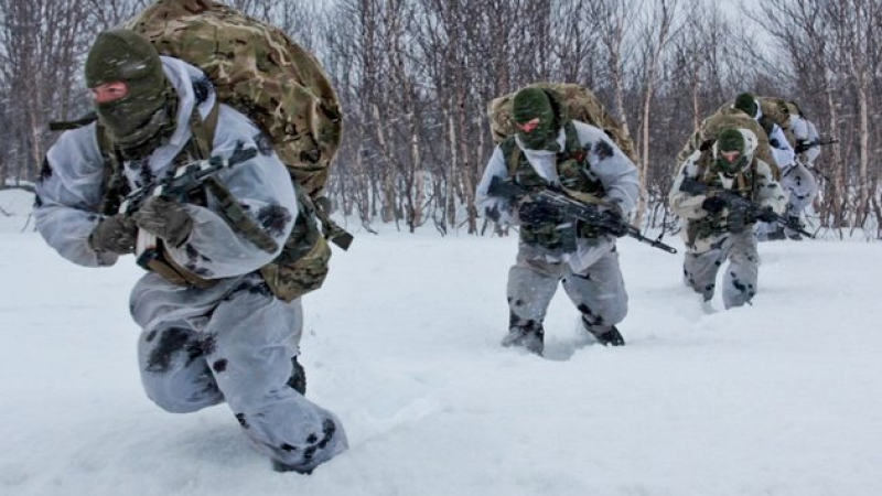 Путин разкри колко руски военни има в Украйна 