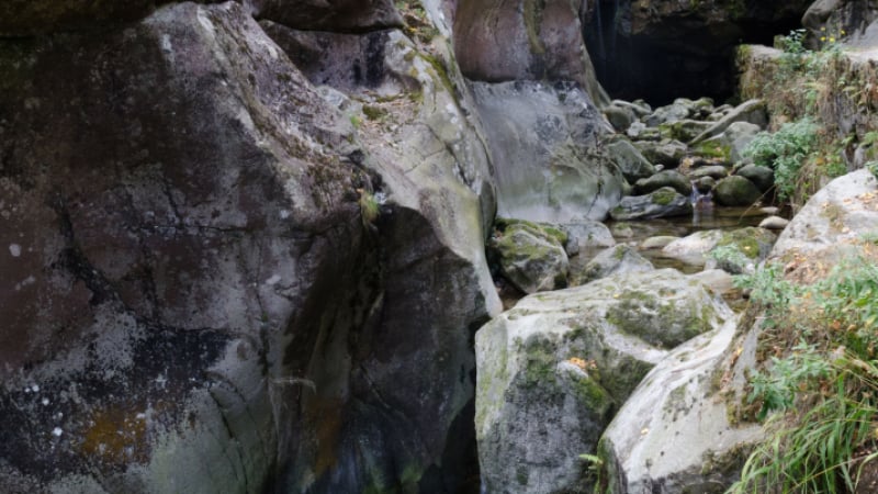Водата под Костенския водопад върши чудеса 