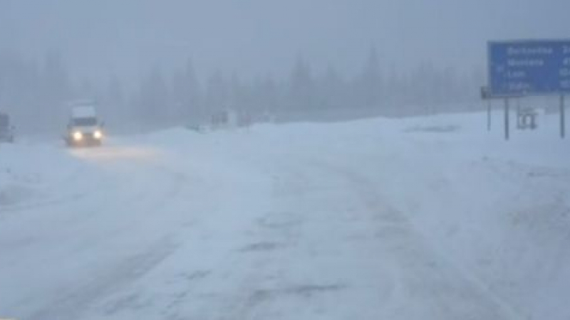 България в снежен капан, автобус заседна на "Петрохан", вече има затворени пътища