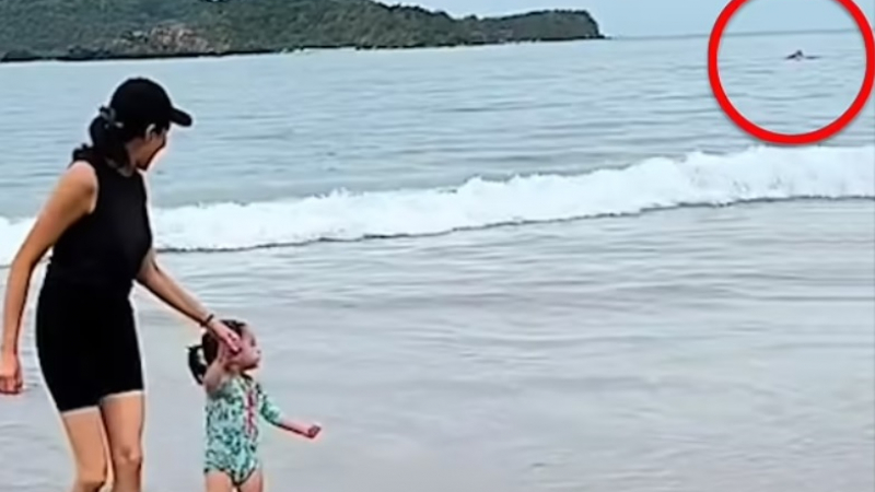 Ужасяващо ВИДЕО 18+ запечата как загадъчно животно разкъсва турист на метри от брега