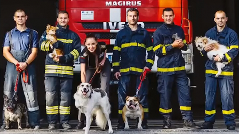 Пожарникари от Казанлък умилиха България с това, което направиха ВИДЕО
