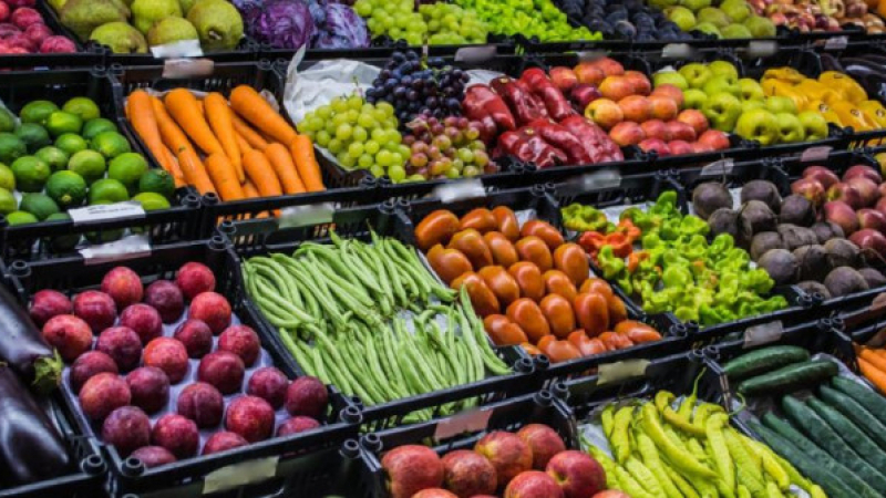 Възмущение сред производителите: ГМО зеленчуци в България