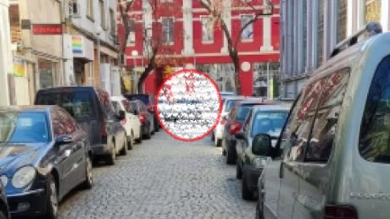 Селяндур: Пловдивски шофьор премина всякакви граници с паркирането си СНИМКИ