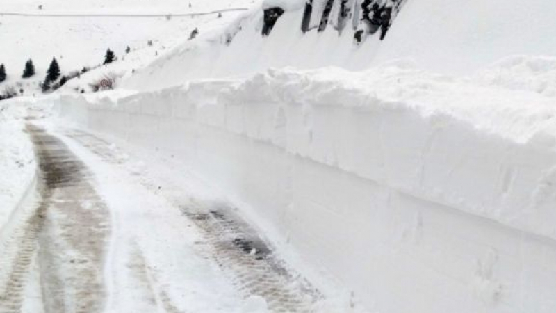 Черно-бяла СНИМКА на зимата в Русе със сняг до покривите подпали мрежата 